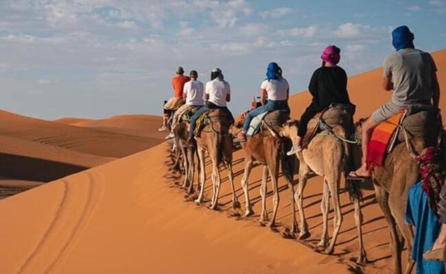 desert-group