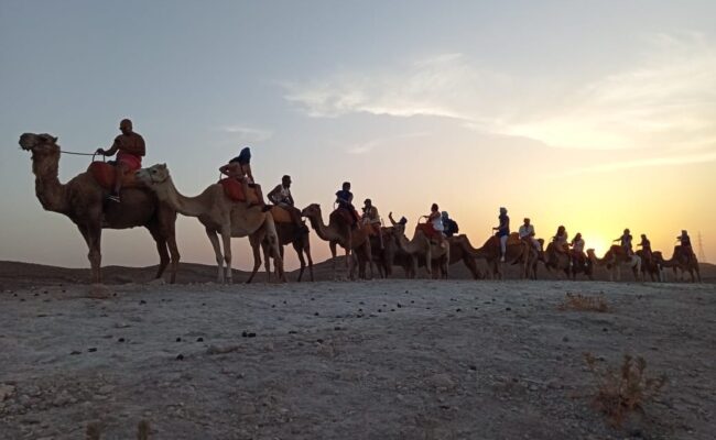Camel ride Agafay