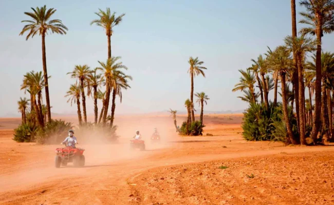 quad-palmeraie.jpg