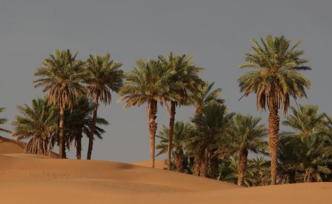 zagora-(1)