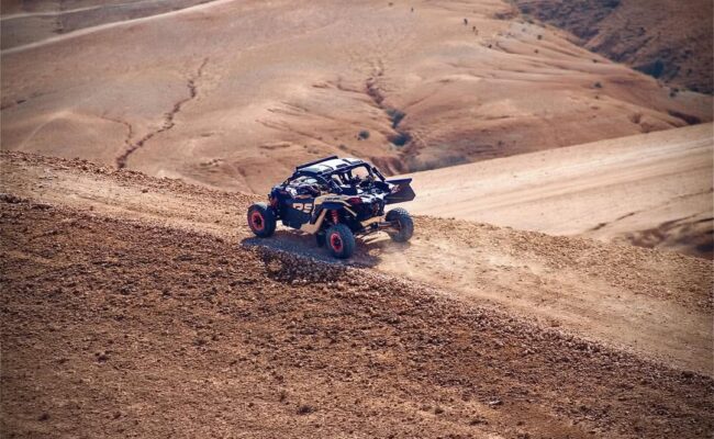 Buggy SDE