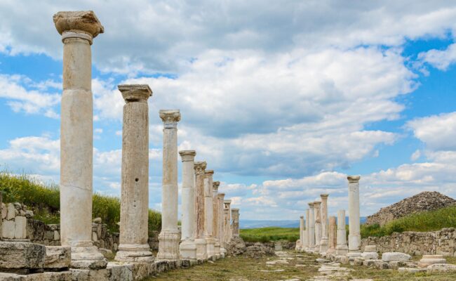 Fes Day Trip to Volubilis and Meknes 5